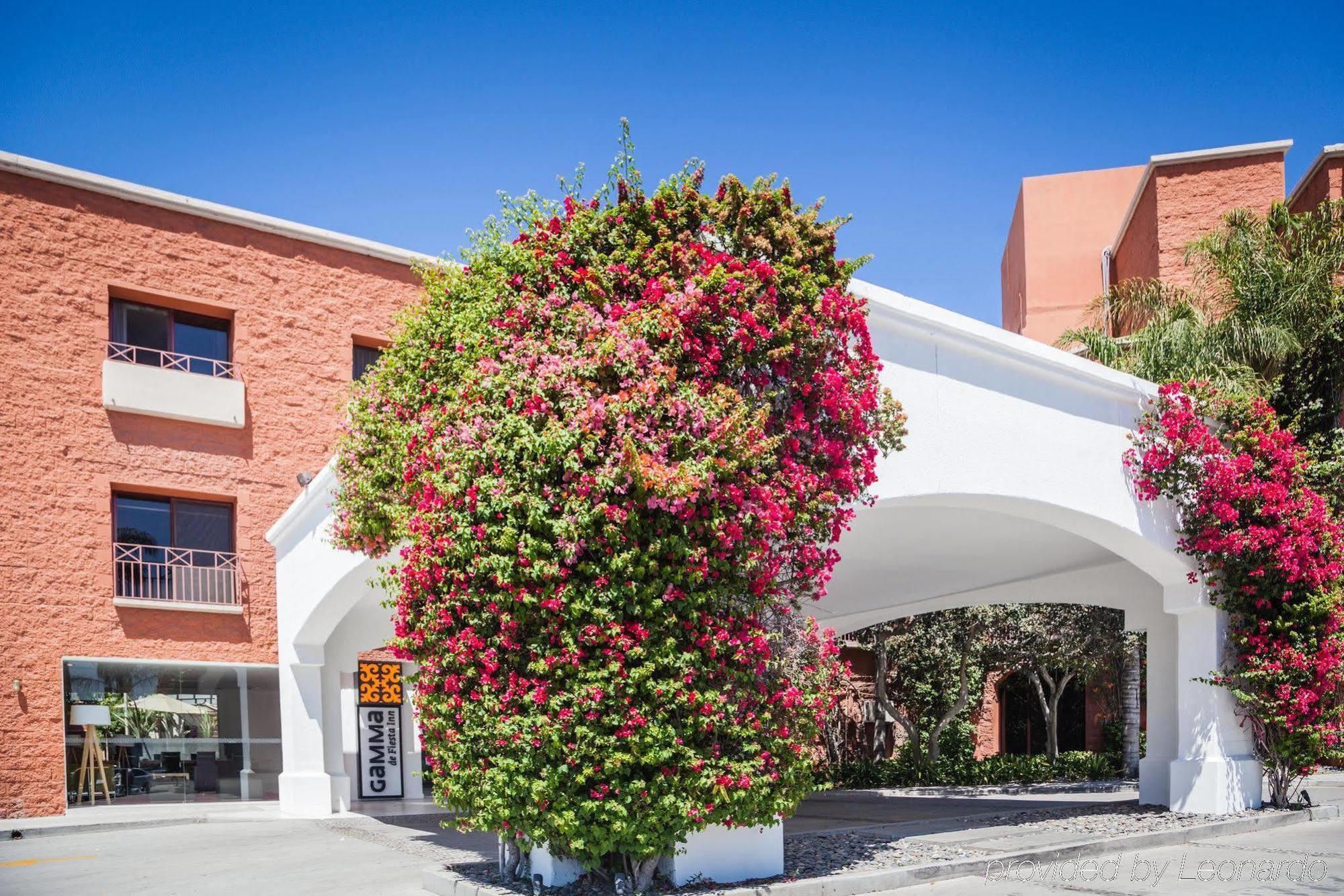 Gamma Tijuana Hotel Ngoại thất bức ảnh